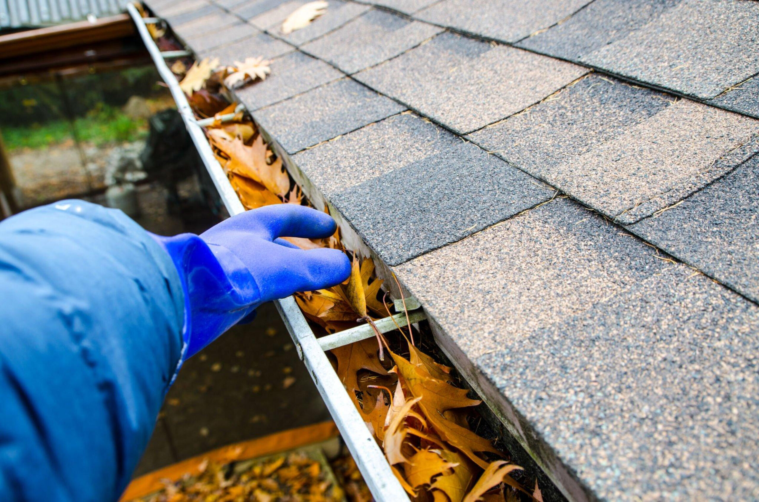 Mastering the Art of Gutter Cleaning for a Spotless Home